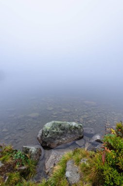 sabah sis göl suda ağaçların yansımalar
