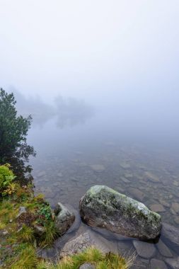 sabah sis göl suda ağaçların yansımalar