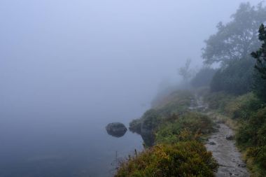 sabah sis göl suda ağaçların yansımalar