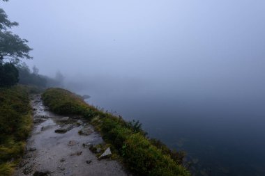 sabah sis göl suda ağaçların yansımalar