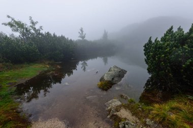 sabah sis göl suda ağaçların yansımalar