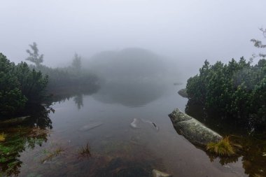 sabah sis göl suda ağaçların yansımalar