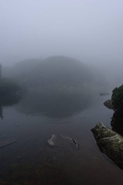 sabah sis ile göl suda ağaçların yansımalar 