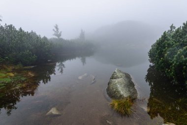 sabah sis göl suda ağaçların yansımalar