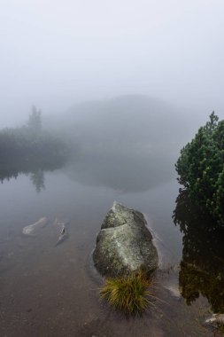 sabah sis göl suda ağaçların yansımalar