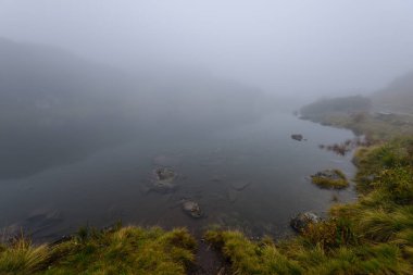 sabah sis göl suda ağaçların yansımalar