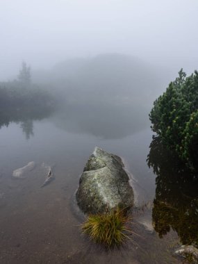 sabah sis göl suda ağaçların yansımalar