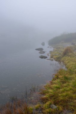 sabah sis göl suda ağaçların yansımalar