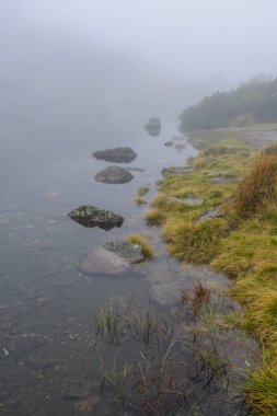 sabah sis göl suda ağaçların yansımalar
