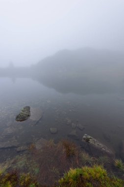 sabah sis göl suda ağaçların yansımalar