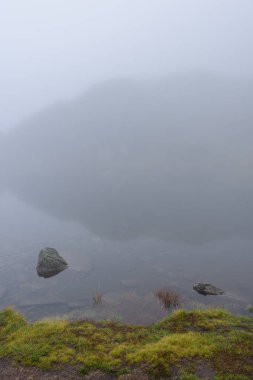 sabah sis göl suda ağaçların yansımalar