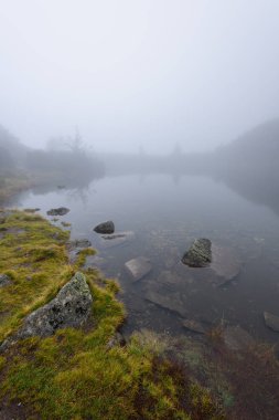sabah sis göl suda ağaçların yansımalar