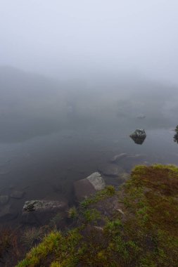 sabah sis göl suda ağaçların yansımalar