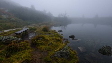 sabah sis göl suda ağaçların yansımalar