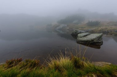 sabah sis göl suda ağaçların yansımalar