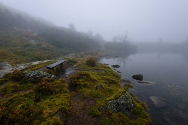 sabah sis göl suda ağaçların yansımalar