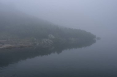 sabah sis göl suda ağaçların yansımalar