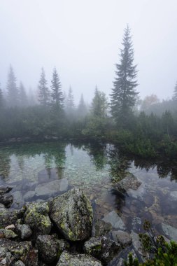 sabah sis göl suda ağaçların yansımalar