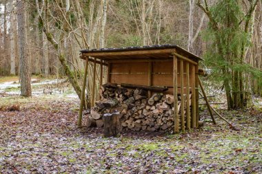 Orman yolunda büyük bir odun yığını