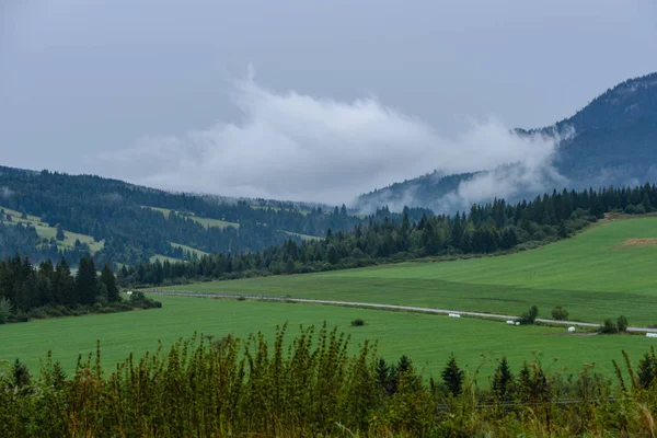 Panoramatický pohled mlžný Les v horské oblasti — Stock fotografie