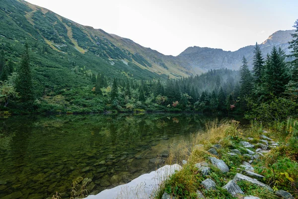 Refleksje z drzewa w wodzie jeziora w rannej mgle — Zdjęcie stockowe