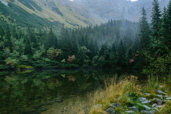 Reflektioner av träd i sjön vattnet i morgondimman — Stockfoto