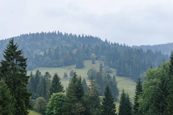 Vue panoramique de la forêt brumeuse en zone de montagne avec des montagnes h — Photo