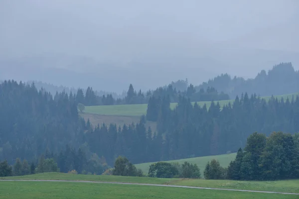 Vista panoramica della foresta nebbiosa nella zona montana — Foto Stock