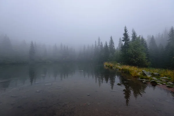 Sabah sis göl suda ağaçların yansımalar — Stok fotoğraf