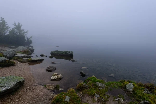 Sabah sis göl suda ağaçların yansımalar — Stok fotoğraf