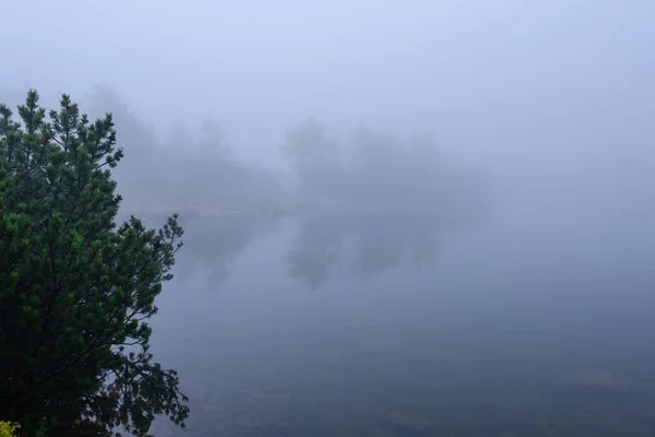 Reflets d'arbres dans l'eau du lac dans la brume matinale — Photo