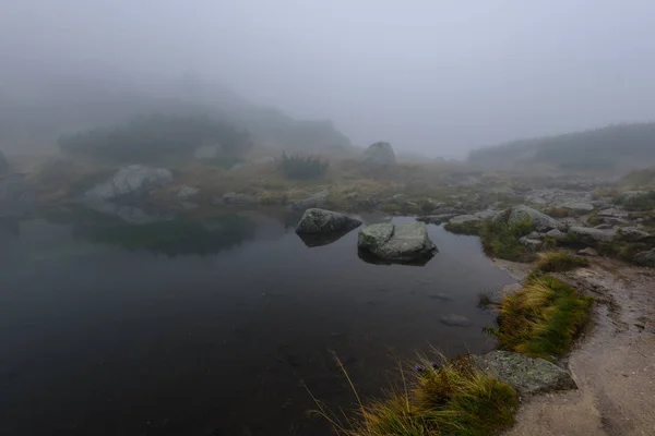 Reflecties van bomen in het meerwater in de ochtend mist — Stockfoto