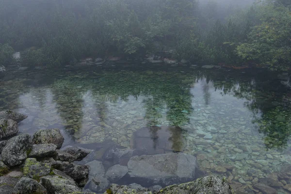 Sabah sis göl suda ağaçların yansımalar — Stok fotoğraf