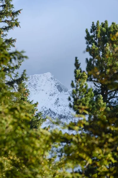 Panorámás kilátás nyílik a hegyvidéki területen hegyek h ködös erdő — Stock Fotó
