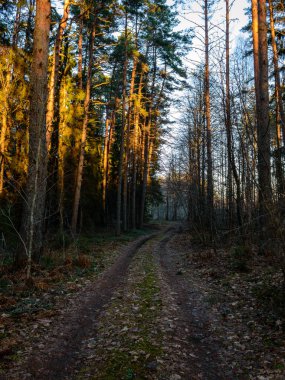 Boş yol yaz aylarında şehir dışında. çakıl yüzeyi