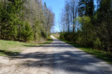 Boş yol yaz aylarında şehir dışında. çakıl yüzeyi