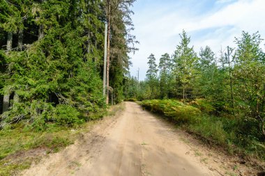 Boş yol yaz aylarında şehir dışında. çakıl yüzeyi