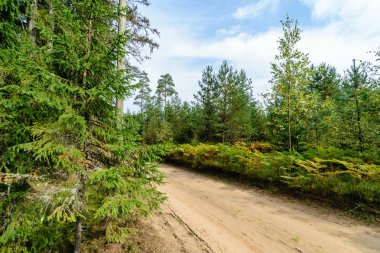 Boş yol yaz aylarında şehir dışında. çakıl yüzeyi