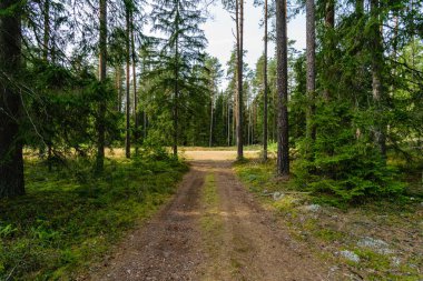 Boş yol yaz aylarında şehir dışında. çakıl yüzeyi