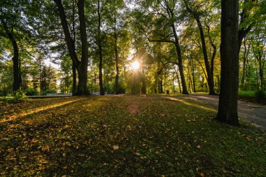 Boş yol yaz aylarında şehir dışında. çakıl yüzeyi