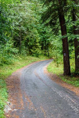 Boş yol yaz aylarında şehir dışında. çakıl yüzeyi