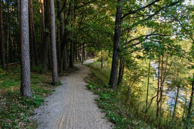 Boş yol yaz aylarında şehir dışında. çakıl yüzeyi