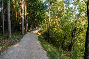 Boş yol yaz aylarında şehir dışında. çakıl yüzeyi