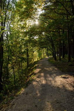 Boş yol yaz aylarında şehir dışında. çakıl yüzeyi