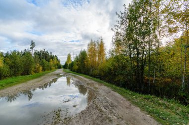 Boş yol yaz aylarında şehir dışında. çakıl yüzeyi