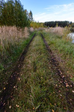 sonbahar kırsalında boş yolda. çakıl yüzeyi