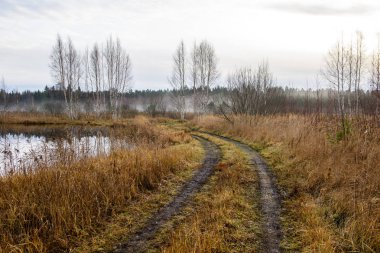 sonbahar kırsalında boş çekici yolda. çakıl yüzeyi