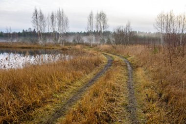 sonbahar kırsalında boş çekici yolda. çakıl yüzeyi