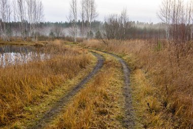 sonbahar kırsalında boş çekici yolda. çakıl yüzeyi