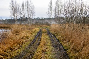 sonbahar kırsalında boş çekici yolda. çakıl yüzeyi